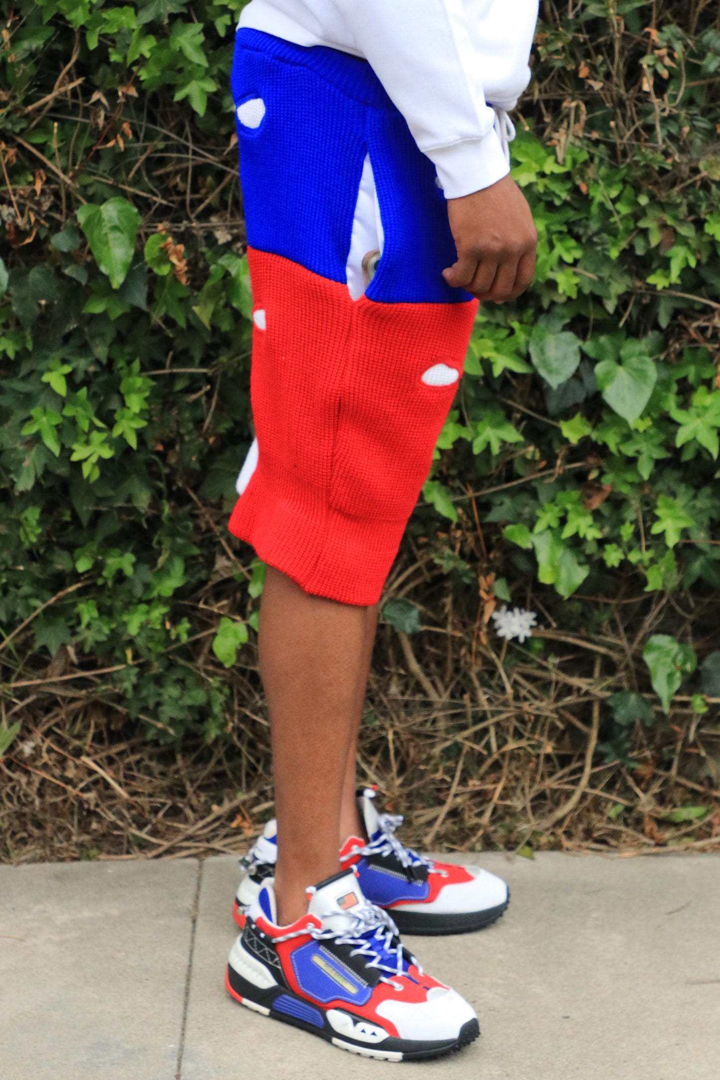 1 of 1 Blue, Red, & White Ski Mask Shorts image 1
